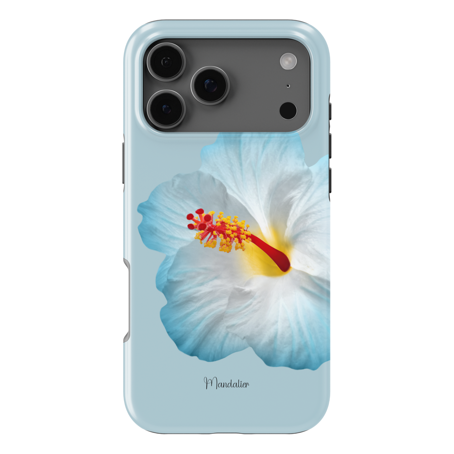 Azure Hibiscus