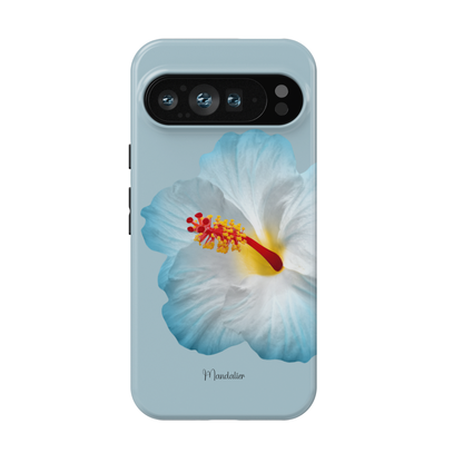 Azure Hibiscus