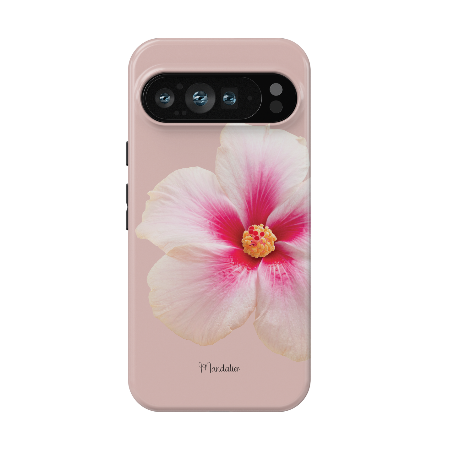 Blush Pink Hibiscus