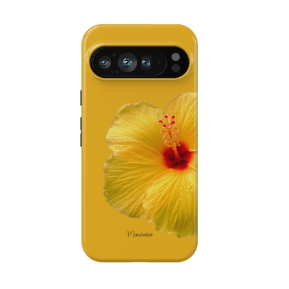 Golden Hibiscus