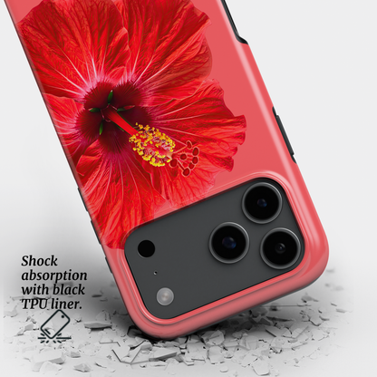 Scarlet Hibiscus