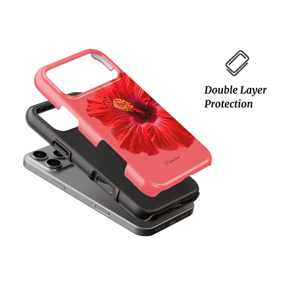 Scarlet Hibiscus