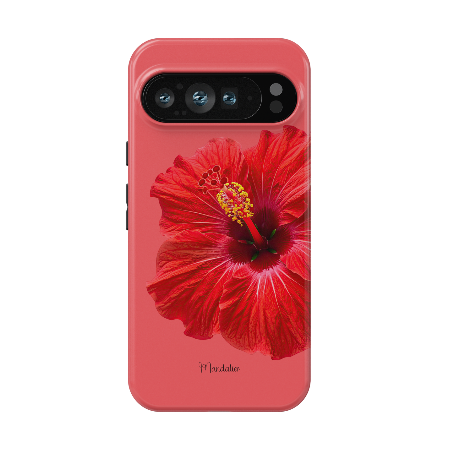Scarlet Hibiscus