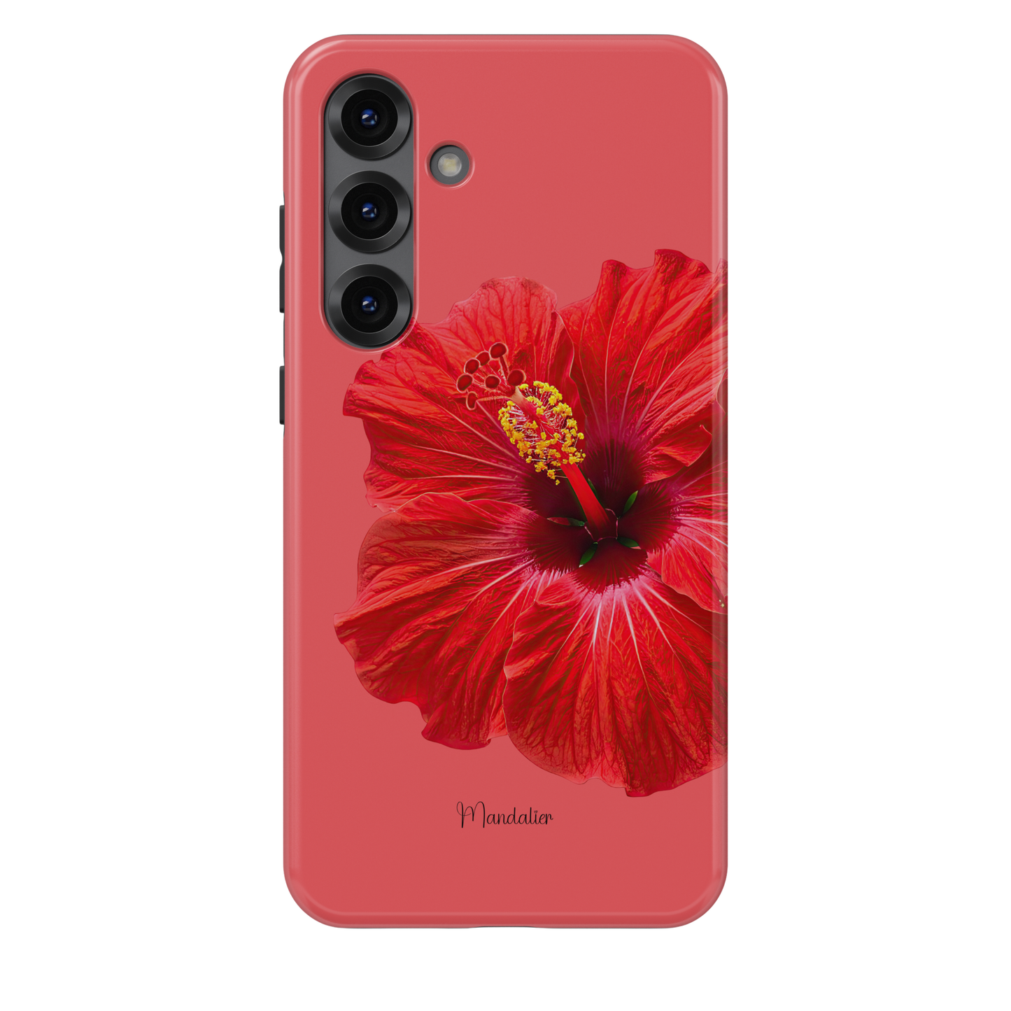 Scarlet Hibiscus